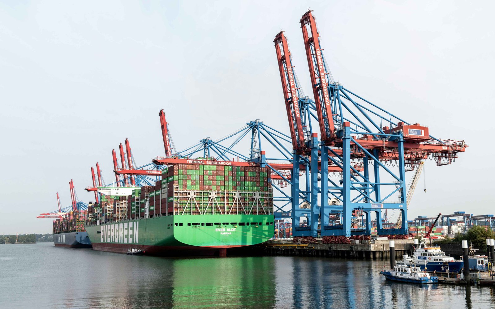 Import/Export Assistance Services - Professional Sources